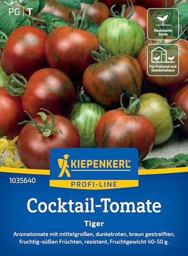Kiepenkerl Cocktail-Tomatensamen Tiger 1035640, Gemüsesaat | Aromatomate, fruchtig- süß, resistent, für Freiland, Gewächshaus & Topf
