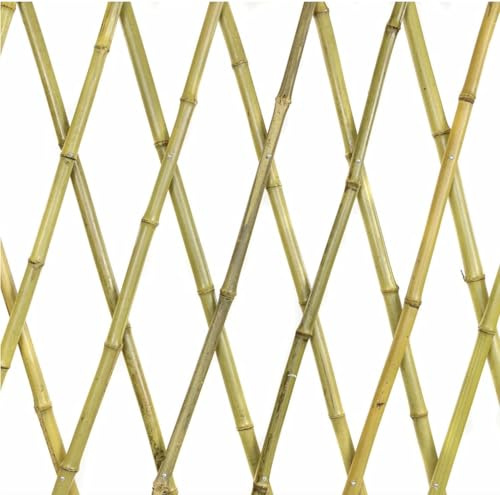 NG NICCOLAI TRALICCIO ESTENSIBILE BAMBOO VARIE MISURE (180X180 CM)