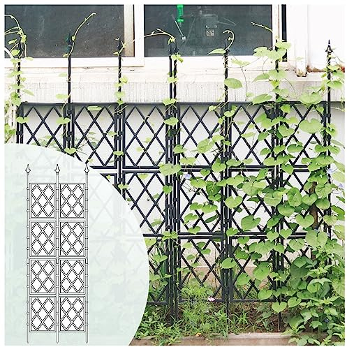 Treillis de Jardin pour Plantes grimpantes, Panneaux en Treillis PE pour Plantes en Pot, Tuteurs Robustes et antirouille, pour Jardin extérieur, pelouse, terrasse, 9 Tailles (Taille : 57 x 2