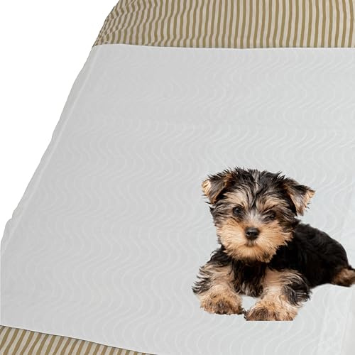 Empapadores Adultos, Bebé 70x90cm Lavable Reutilizable Impermeable, Resiste +300 Lavados - Súper Absorbente 4 Capas, Transpirable Incontinencia - Protector de Colchón Cama Cambiador Bebé