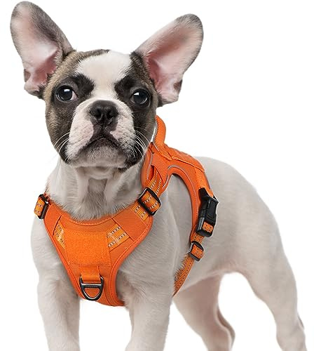 rabbitgoo Hundegeschirr Kleine Hunde Anti-Zug, S, Orange | MOLLE-System, Heavy Duty, Sicherheitsschnallen, Weiche Polsterung, 2 D-Ringe, Reflektierend für Taktisches Hundetraining