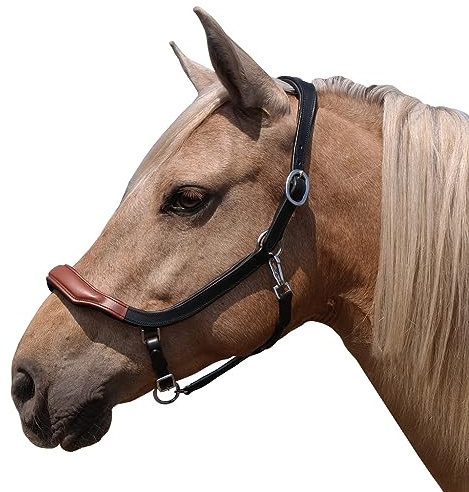 Brama West Atlanta - Cabestro de piel para caballo, anatómico, ajustable en 2 posiciones, tamaño completo