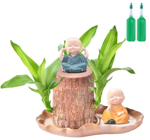Madera de Brasil - Árbol brasileño | Accesorio para el hogar con figura para cocina, salón, dormitorio, restaurante, cafetería, terraza, jardín