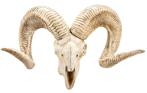 JOUFNING Wall Decoracion Sculpture, Rams Head Skull Hanging Art Statue, Faux Longhorn Sheep Horned Head Skull Decor, Handmade Simulation Farmhouse Animal Figurine(White)