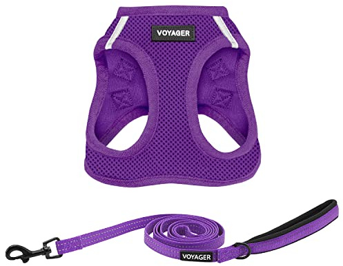 Voyager Step-in Air Cat Harness - All Weather Mesh Step in Vest Harness for Small and Medium Cats by Best Pet Supplies - Harness Leash Set (Purple), XXS