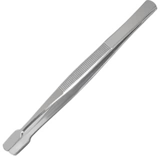 Stamp Tweezers, Stainless Steel, Portable, Universal, Collector's Tool