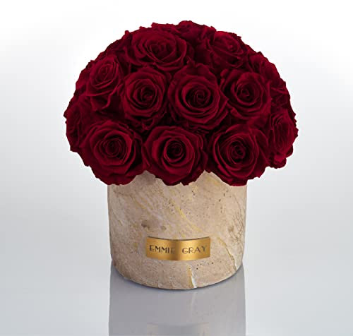 Solid Infinity Collection Golden Sand - Traumhafte Infinity Rosen, 1-3 Jahre haltbare Rosen, Betonvase mit echten, konservierten Rosen, edle Premiumrosen - Größe M (Burgundy)
