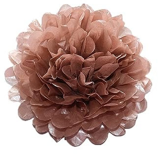 24 Stück Deko Pompons Seidenpapier Pompoms Papier Blumen Pom Poms, Dekorpapier Blumenpuscheln für Party Hochzeitsdeko Festival Geburtstag Baby-Shower Weihnachten Gartenparty Deko,Roségold