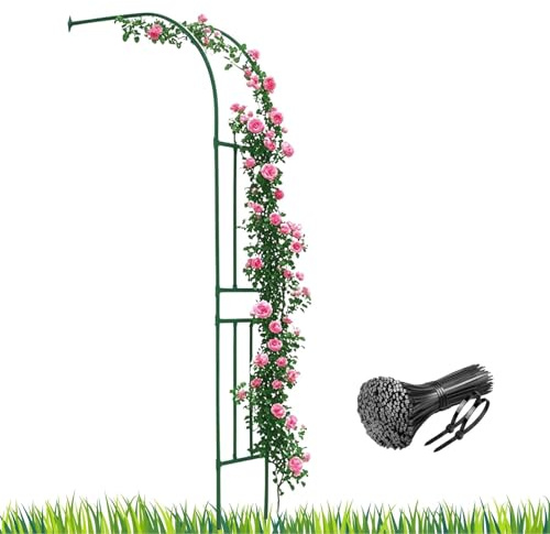 Metal Garden Arch for Climbing Plants - Outdoor Flower Trellis Support 150cm Wide x 240cm High Steel Arbour for Jasmine & Vines Green Color 260 x 240cm Size