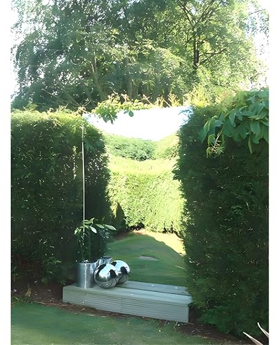Reflect Acrylic Garden Outdoor Non Shatter Wall Mounted Mirror Sheet - Large Extra Narrow Rectangle (6ft x 1ft 5.5)