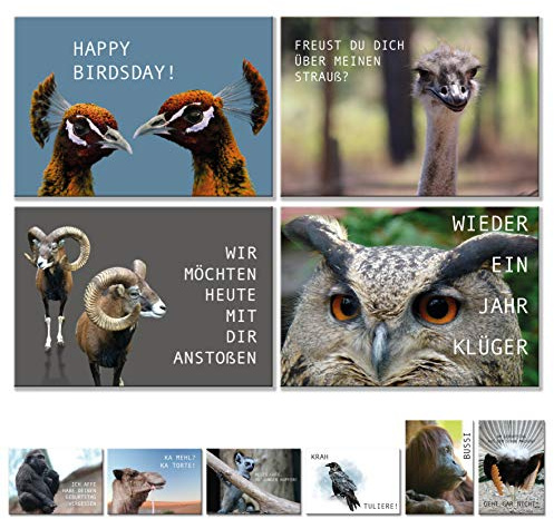 Geburtstagskarten Postkarten Set (10 Motive) lustig Glückwunschkarten, Postkarten Tier Karten lustige Sprüche, Geschenk Karte zum Geburtstag Geburtstagsgeschenk Grußkarten Mann Frau birthday cards