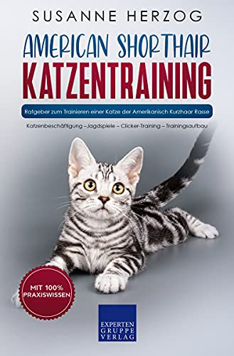 American Shorthair Katzentraining - Ratgeber zum Trainieren einer Katze der Amerikanisch Kurzhaar Rasse: Katzenbeschäftigung – Jagdspiele – Clicker-Training – Trainingsaufbau