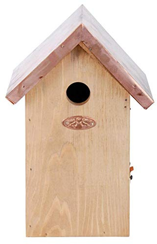 Esschert Design Nistkasten, Vogelhaus Blaumeise in braun mit Kupferdach, ca. 17 cm x 14 cm x 26 cm