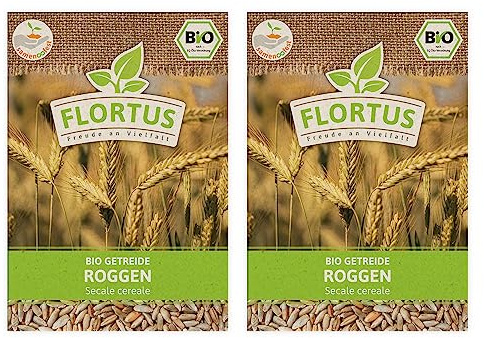 FLORTUS BIO Roggen Getreide Samen 150g | Alte Sorten Urgetreide zur Herstellung von Mehl Sauerteig Brot Roggengras & Microgreens | Sprossen Samen