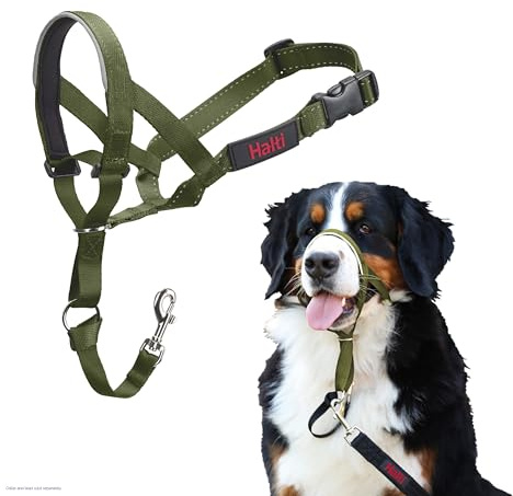 Halti Headcollar | Size 4, Forest Green | Training Collar for Large Dogs