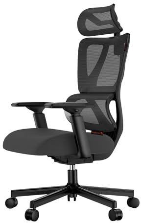 ProtoArc EC100 Ergonomischer Bürostuhl – Computer-Schreibtischstuhl mit 10 cm dickem Federkissen, Lendenwirbelstütze, Verstellbarer Armlehne & Kopfstütze, Mesh-Drehstuhl für Home-Office, Schwarz