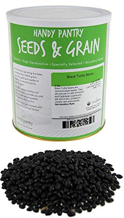 Organic Black Turtle Beans -5 Lb- Called Black Bean & Spanish Black Bean - Seed Sprouting Sprouts, Cooking, Food Storage