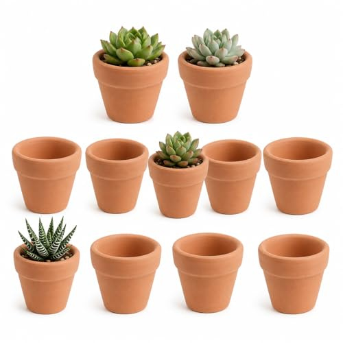 Garneck 10Pcs Ceramic Pottery Clay Planter Small Mini Terracotta Pot Clay Ceramic Pottery Planter Cactus Flower Nursery Pots For Windowsill Cactus Plant Crafts 3x3cm