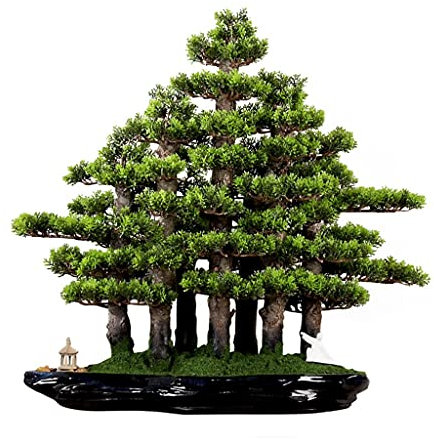 TOMYEUS Kunstpflanze Künstliche Kiefer-Bonsai-realistische Zypresse Und Moos-chinesisches Bonsai Mit Kleinem Pavillon Und Bösewicht Innenbüro-Dekoration Künstlicher Bonsai-Baum