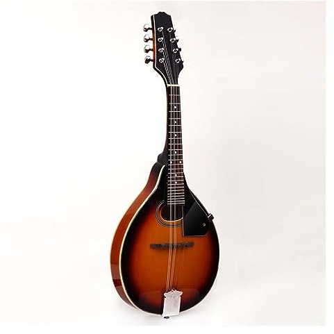 Klassisches Instrument: 8-saitige Mandoline, Griffbrett Und Steg Aus Palisander, Fichtendecke Mandolinen für Erwachsene