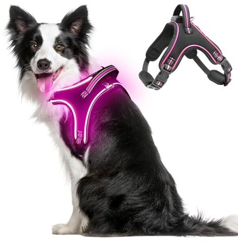 Light Up hundsele lysande uppladdningsbar, LED-hundsele med handtag, reflekterande bröstsele för att hålla dig säker på natten för medelstor liten stor hund (rosa, L)