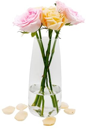 Vaso di vetro per fiori, vaso di vetro trasparente moderno Ins, vaso di vetro alto 22 CM per la decorazione della tavola, vasi decorativi per erba di pampa, tulipani, orchidee, rose (trasparente)