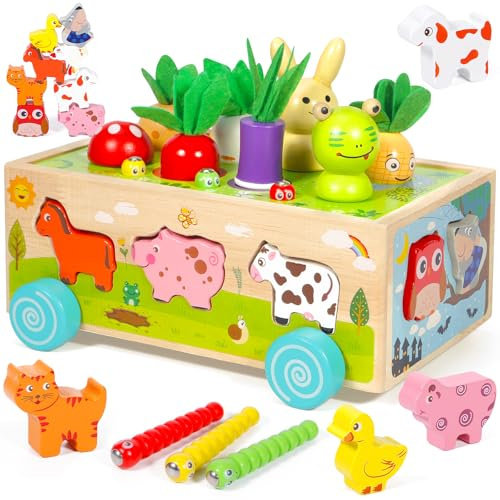 Giochi Montessori 1 Anno, 6-in-1 Giochi Montessori 2 Anni, Magnetici di Pesca in Legno, Abilità Motorie Giocattoli Educativi, Bambini Regalo per 1 2 3 4 Anni Compleanno Maschio Femmina