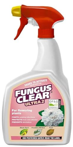 RYYN® Fungus Clear Ultra 2 Ready to Use 800ml Spray Fungicide for Roses Ornamentals Kills Blackspot Powdery Mildew Rust Systemic