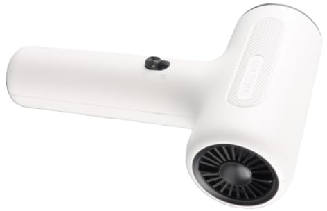 Tnfeeon Secador de Pintura, Secador de Pelo de Doble Función, 500 W, Inalámbrico, Recargable con Motor sin Escobillas, Batería de 2000 MAh, para Estudiantes de Arte, Viajes, Camping, Secado Suave