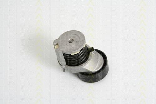 Triscan 8641293018 Keilrippenriemen - Spannarm