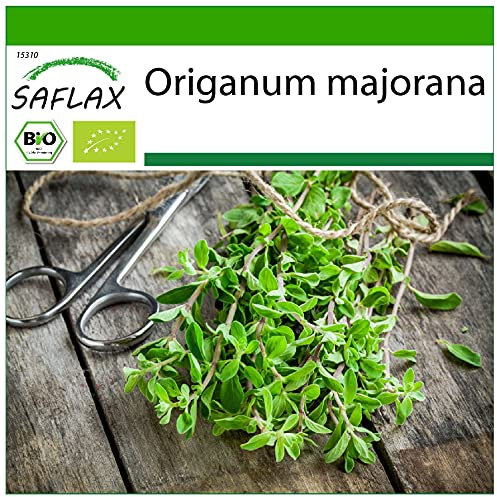 SAFLAX - Organic - Marjoram - 700 Seeds - with Potting Substrate for Better Cultivation - Origanum majorana