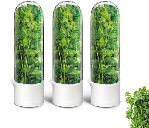 UEOZ Contenedor de hierbas para refrigerador, protector de hierbas para refrigerador, recipiente de cilantro, botella de conservación de verduras para cilantro, menta, perejil, espárragos, mantiene