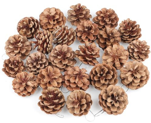 Larber 24 Stück Tannenzapfen Groß,5cm Kiefernzapfen mit Goldenem Schlüsselband, Zapfen Deko Weihnachten für Weihnachtsbaum,Winterdekoration (Sliver Seil)