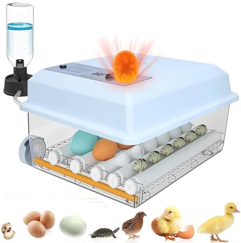 Incubadoras de huevos para incubar huevos con giro automático de huevos, visualización de humedad, control de temperatura, 16 incubadoras de huevos para pollo, huevos de codorniz