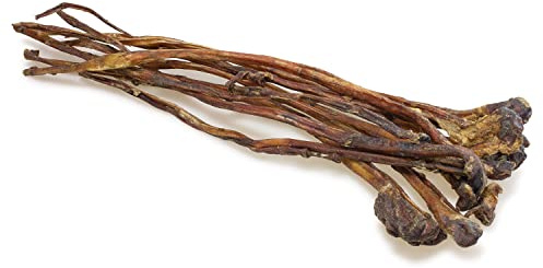 Arquivet nervo di bufalo (70-90 cm - 10 pezzi / 1Kg)