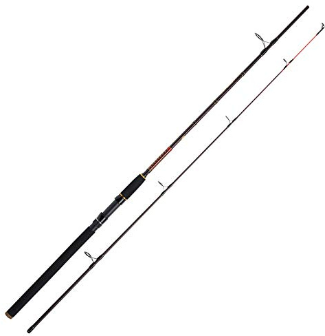 WFT Royal NC Jig & Pilk 40-160g 2,70m