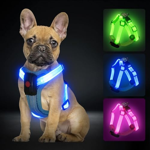 PZRLit Hundegeschirr Leuchtend Aufladbar für kleine Hunde, Leuchtgeschirr für S Hunde, Reflektierend LED Geschirr für Welpen für sicheres Gehen in der Nacht-Blau