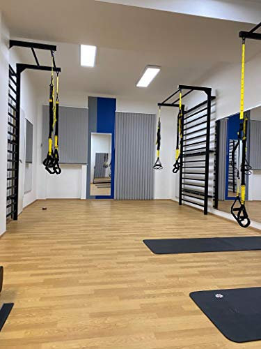 ARTIMEX Sprossenwand aus Metall für Gymnastik - Wird in Heimen, Turnhallen, Sporthallen oder Fitnesscentern verwendet, Artikelnr. 231-Gladiator-90 (Sprossenwand aus Metall, 19 Sprossen, 265 x 100 cm)