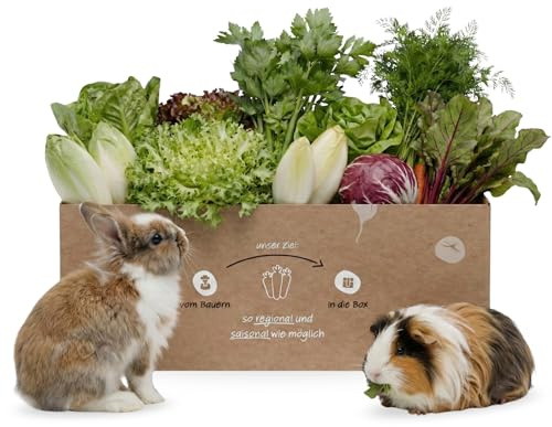 Grünschmaus Kleintierbox 3 kg - Knollenliebe Salat & Blattgemüse | Frische Grünfutter-Auswahl, zarte Blätter & Salate – für abwechslungsreiche Fütterung