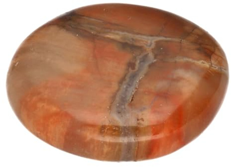 Versteinertes Holz Scheibenstein 3-5 cm Handschmeichler Edelstein Heilstein | Inkl. Edelsteinkarte | Flach & poliert – für die Hosentasche | Ideal als Geschenk