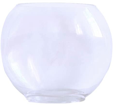 ibasenice Aquarium Transparent pour Poissons Design Oval Durable et Multifonction Bocal Décoratif et Pot de de Bureau Accessoire Maison Pratique