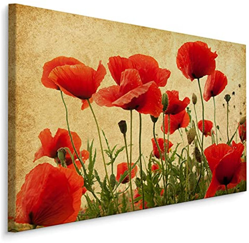 Muralo Leinwandbilder 90x60 Natur Pflanzen Blumen Mohnblumen Rot Blätter Canvas Wandbild Kunstdruck Schlafzimmer Wohnzimmer Wanddekoration Design XXL Br. 90 cm x Hö. 60 cm Br. 90 cm x Hö. 60 cm