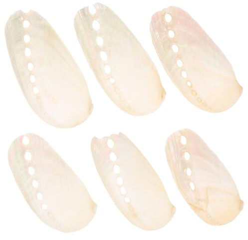 Milisten Lot de 6 Petits Coquillages D’ormeau Naturels 4-6 Cm en Nacre, Décoration de Mariage et Aquarium, Ornements Marins Style Plage pour Artisanat et Déco Intérieure