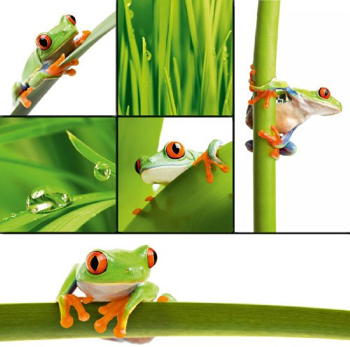 Eurographics MB-MAG1001 Memo Board Zubehör/Magnete, Quak