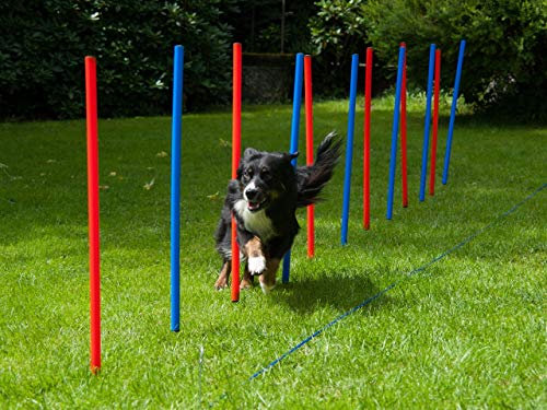 Agility-Set für Hunde, 12 Slalomstangen rot/blau mit Tragetasche, Hundetraining