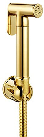 Bidet Brause Gold Bidet Set mit Handbrause, Schlauch Handbrause Bidet Set Kaltwasser Messing Bidet Sprayer for Toilet Washbasin