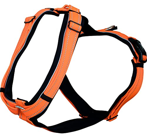 Sprenger Y-Geschirr reflektierend I gepolstert mit weichem strapazierfähigen Neopren I fellschonend und ergonomisch angepasst | neon orange, M