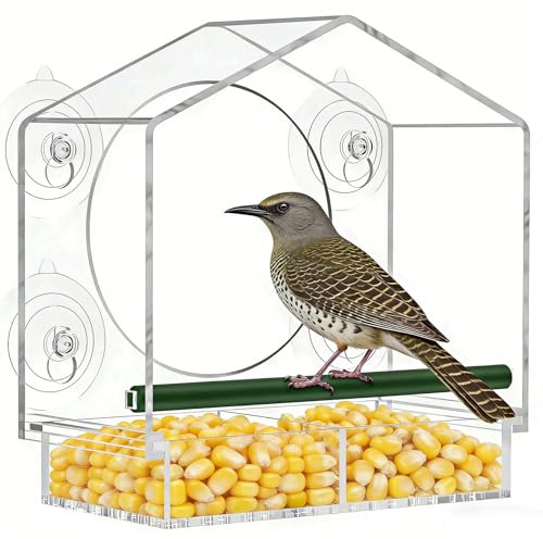 Ventana de casa de pájaros de acrílico, comedero Transparente para pájaros | para pájaros con Ventosa, extraíble y Lavable, a Prueba de Lluvia, para pequeñas Aves Silvestres, pinzones, herreros