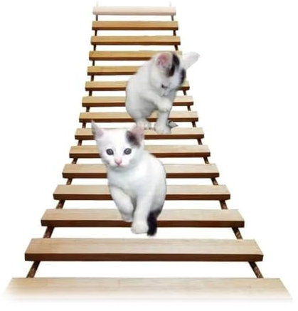 Wooden Cat Bridge for Cage, Various Sizes - Cat Ladder & Step Scratcher Kitten Toys - Sisal Rope - 100cm