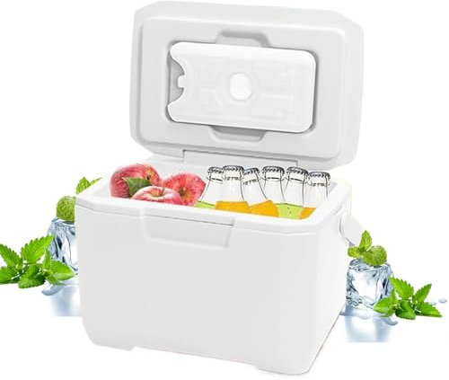 Jeorywoet Tragbarer Kühler, Kleiner Kühlbox 6L Kleiner Kühler mit 5 Eisbeutel langlebig 72-96 H Kühlkühler-Kühlbox Isolierer Gefrierkasten mit Griff für BBQ Campingreisen, Picknickkühler